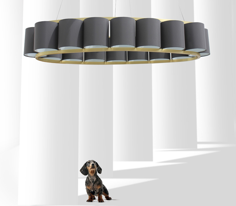 oval light feature with dog